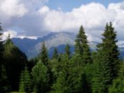 Natuur in de Hoge Tatra
